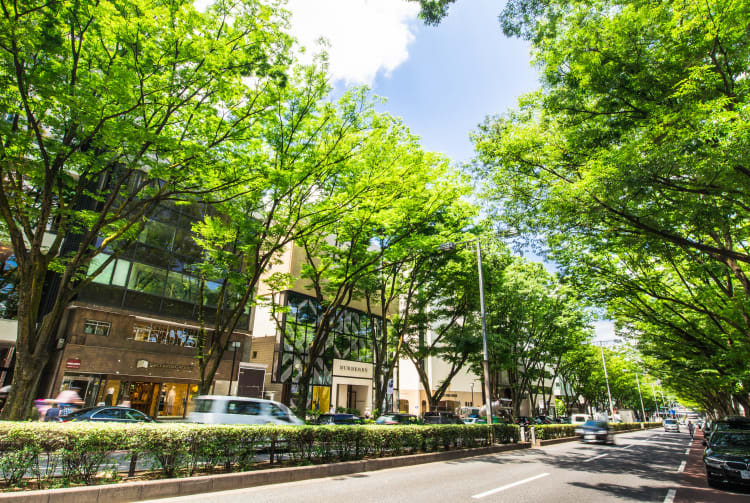 Harajuku & Omotesando & Aoyama Area